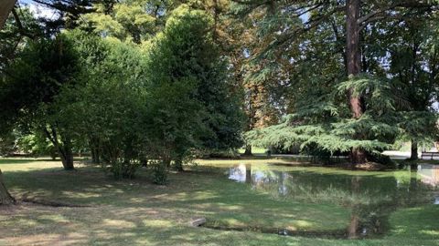 Pour anticiper le futur plan national de « renaturation », le symposium du 9 novembre abordera les problématiques liées à l’eau et aux végétaux. ©P.Fayolle